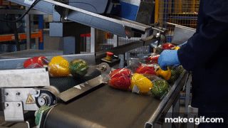 Food Manufacturing & Packaging